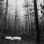 The Cure A Forest