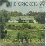 The Crickets Back Home In Tennessee