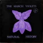 The March Violets Natural History