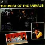 The Animals The Most Of The Animals