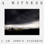 A Witness I Am John's Pancreas