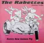 The Rabettes Bunny New Guinea Pig